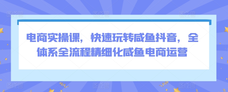 电商实操课，快速玩转咸鱼抖音，全体系全流程精细化咸鱼电商运营-第一资源库