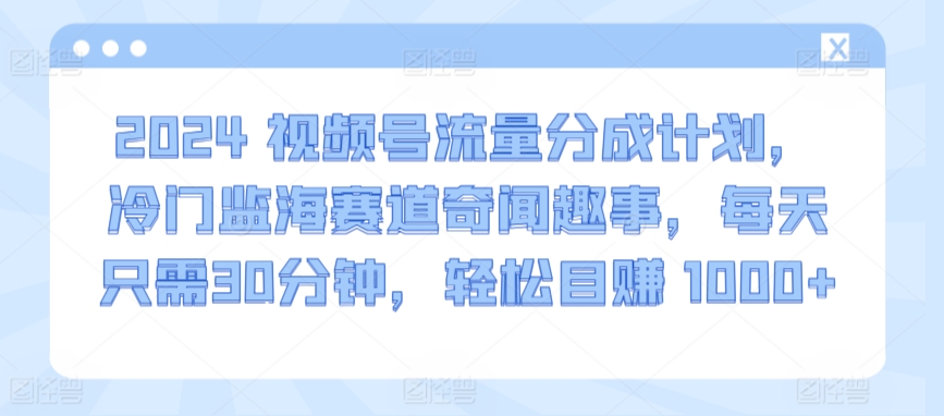 2024视频号流量分成计划，冷门监海赛道奇闻趣事，每天只需30分钟，轻松目赚 1000+【揭秘】-第一资源库