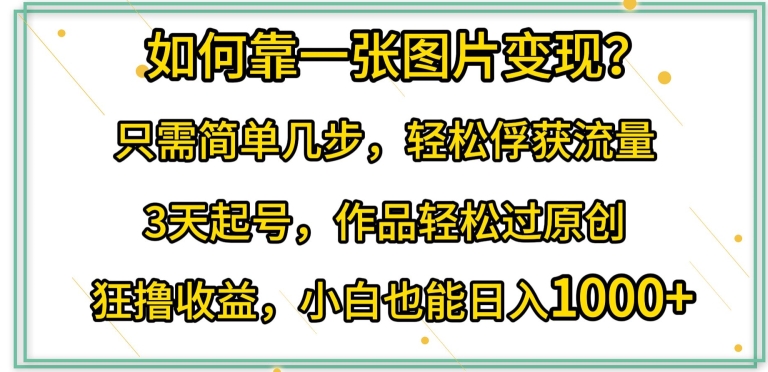 如何靠一张图片变现?只需简单几步，轻松俘获流量，3天起号，作品轻松过原创【揭秘】-第一资源库