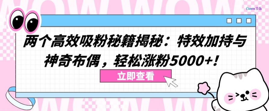 两个高效吸粉秘籍揭秘：特效加持与神奇布偶，轻松涨粉5000+【揭秘】-第一资源库