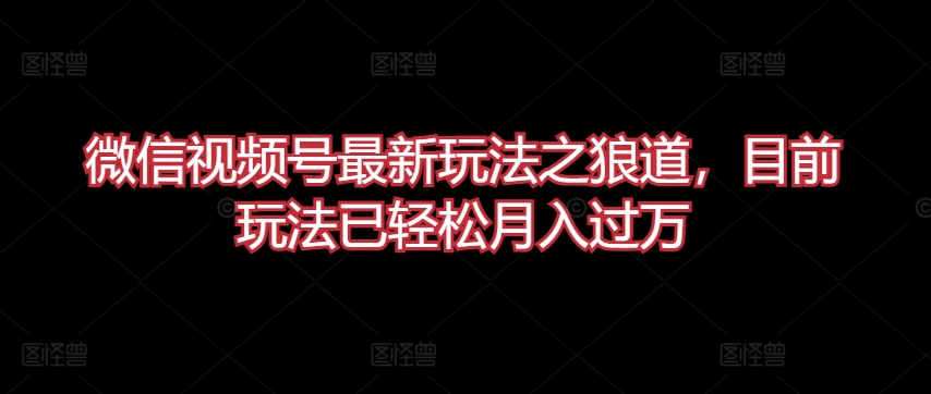 微信视频号最新玩法之狼道，目前玩法已轻松月入过万【揭秘】-第一资源库