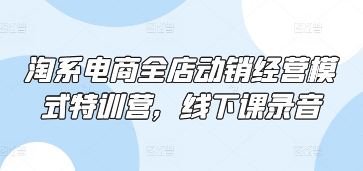 淘系电商全店动销经营模式特训营，线下课录音-第一资源库