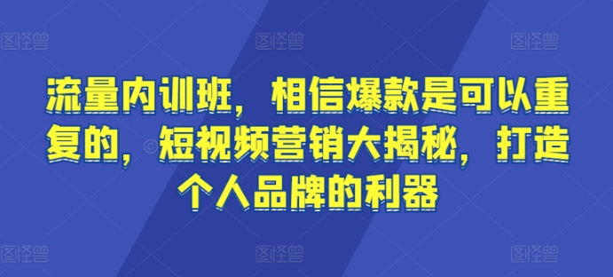 流量内训班，相信爆款是可以重复的，短视频营销大揭秘，打造个人品牌的利器-第一资源库