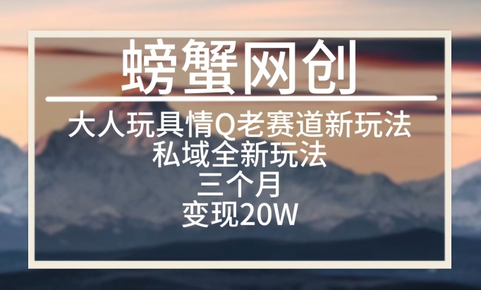 大人玩具情Q用品赛道私域全新玩法，三个月变现20W，老项目新思路【揭秘】-第一资源库