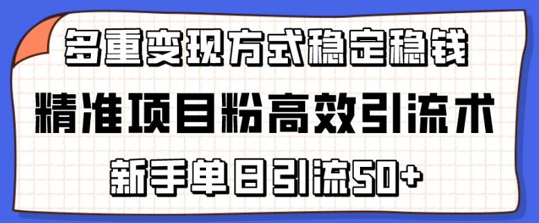 精准项目粉高效引流术，新手单日引流50+，多重变现方式稳定赚钱【揭秘】-第一资源库