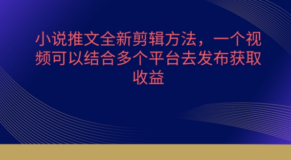 小说推文全新剪辑方法，一个视频可以结合多个平台去发布获取【揭秘】-第一资源库