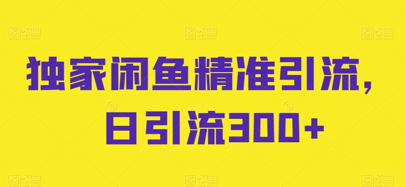 独家闲鱼精准引流，日引流300+【揭秘】-第一资源库