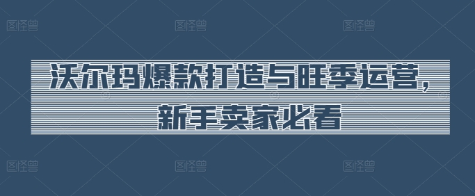 沃尔玛爆款打造与旺季运营，新手卖家必看-第一资源库