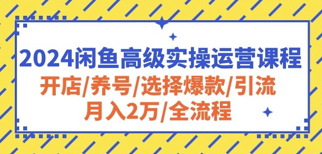 2024闲鱼高级实操运营课程：开店/养号/选择爆款/引流/月入2万/全流程-第一资源库