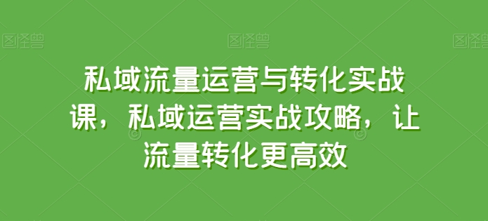 私域流量运营与转化实战课，私域运营实战攻略，让流量转化更高效-第一资源库