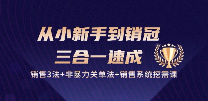 从小新手到销冠 三合一速成：销售3法+非暴力关单法+销售系统挖需课 (27节)-第一资源库