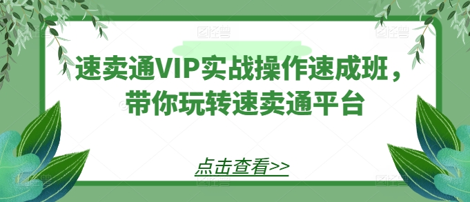 速卖通VIP实战操作速成班，带你玩转速卖通平台-第一资源库