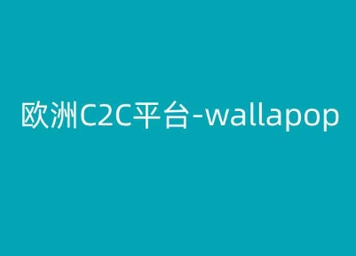 欧洲C2C平台-wallapop-kim跨境电商教程-第一资源库