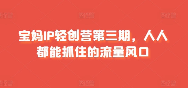 宝妈IP轻创营第三期，人人都能抓住的流量风口-第一资源库