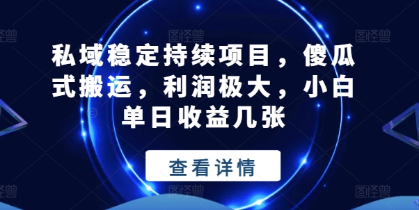 私域稳定持续项目，傻瓜式搬运，利润极大，小白单日收益几张【揭秘】-第一资源库