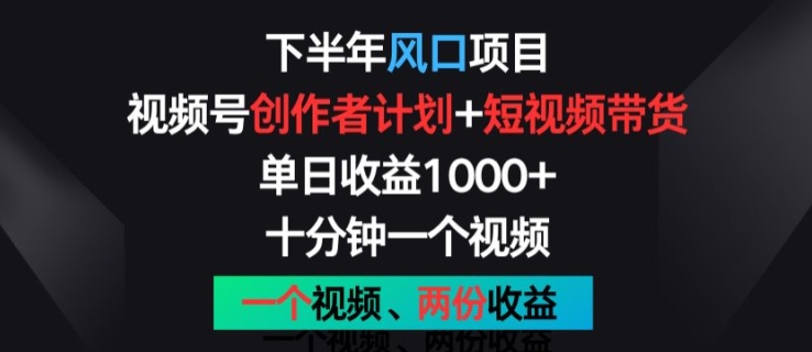 下半年风口项目，视频号创作者计划+视频带货，一个视频两份收益，十分钟一个视频【揭秘】-第一资源库