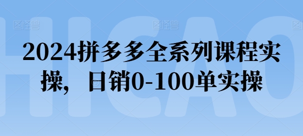 2024拼多多全系列课程实操，日销0-100单实操【必看】-第一资源库