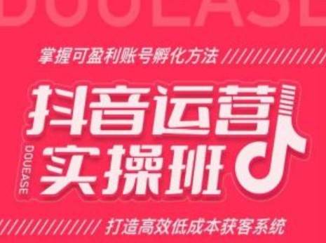 抖音运营实操班，掌握可盈利账号孵化方法，打造高效低成本获客系统-第一资源库