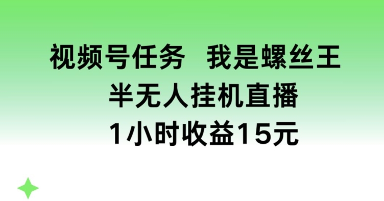 视频号任务，我是螺丝王， 半无人挂机1小时收益15元【揭秘】-第一资源库