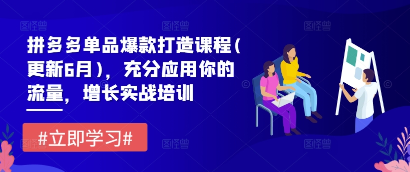 拼多多单品爆款打造课程(更新6月)，充分应用你的流量，增长实战培训-第一资源库