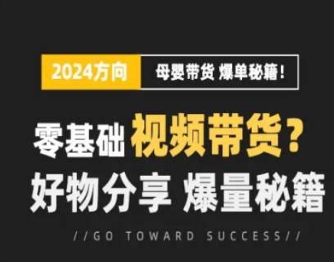 短视频母婴赛道实操流量训练营，零基础视频带货，好物分享，爆量秘籍-第一资源库