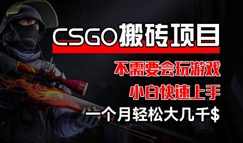 CSGO 装备搬砖项目，操作简单，不需要会玩游戏，小白也能快速上手，一个月轻松大几千【揭秘】-第一资源库