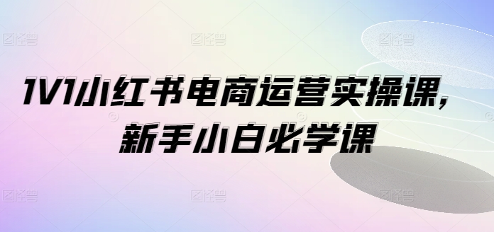 1V1小红书电商运营实操课，新手小白必学课-第一资源库