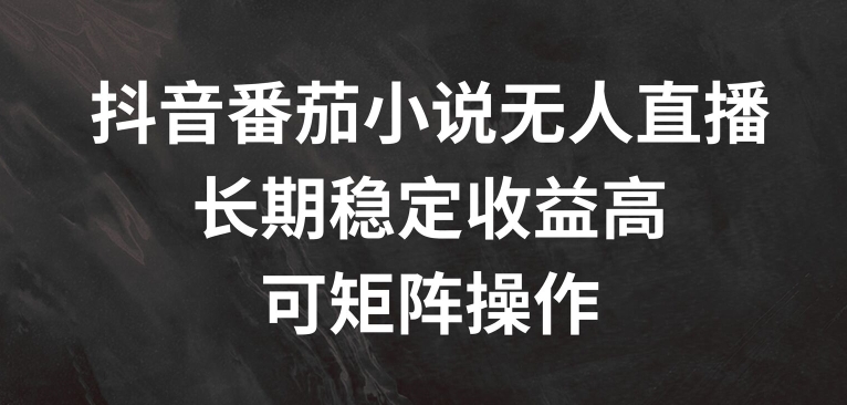 抖音番茄小说无人直播，长期稳定收益高，可矩阵操作【揭秘】-第一资源库