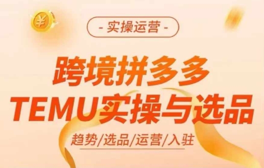 跨境拼多多TEMU实操与选品，多多temu跨境选品运营实操-第一资源库