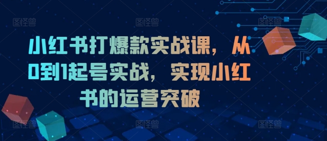 小红书打爆款实战课，从0到1起号实战，实现小红书的运营突破-第一资源库