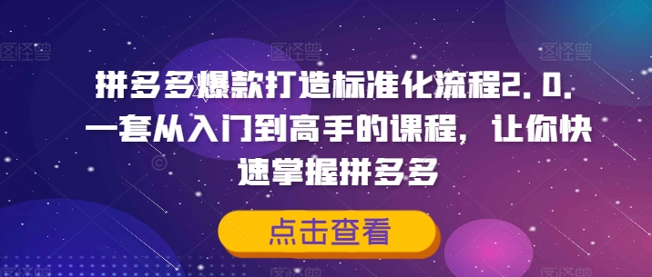 拼多多爆款打造标准化流程2.0，一套从入门到高手的课程，让你快速掌握拼多多-第一资源库