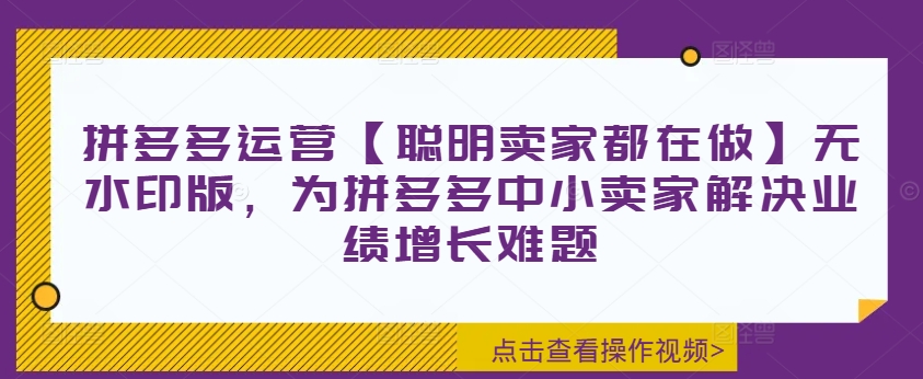 拼多多运营【聪明卖家都在做】无水印版，为拼多多中小卖家解决业绩增长难题-第一资源库