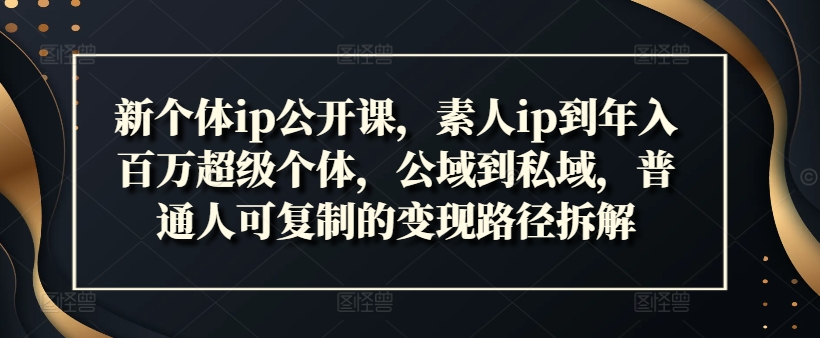 新个体ip公开课，素人ip到年入百万超级个体，公域到私域，普通人可复制的变现路径拆解-第一资源库