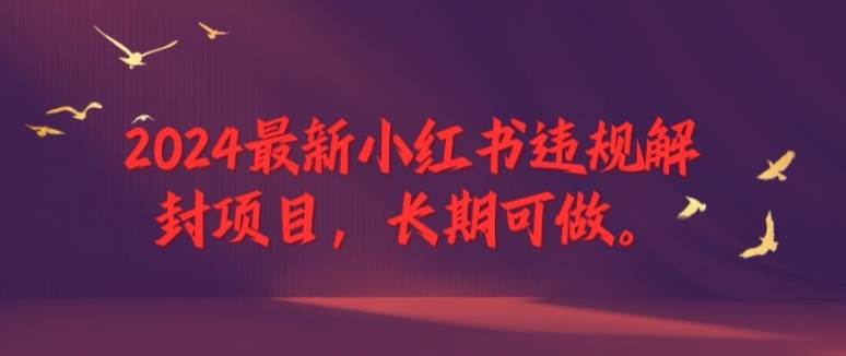 2024最新小红书违规解封项目，长期可做，一个可以做到退休的项目【揭秘】-第一资源库