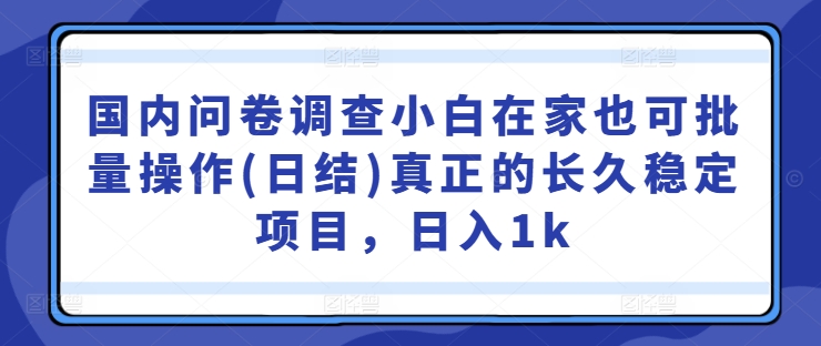 国内问卷调查小白在家也可批量操作(日结)真正的长久稳定项目，日入1k【揭秘】-第一资源库