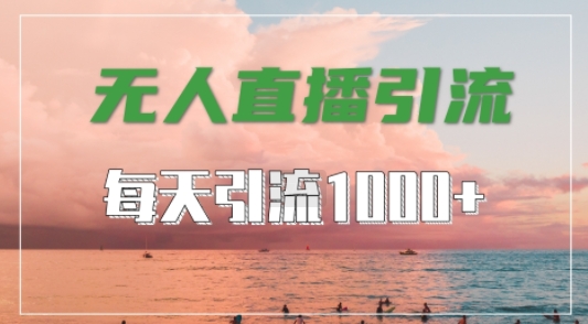 抖音快手视频号全平台通用，无人直播引流法，超暴力引流1000+高质量精准创业粉【揭秘】-第一资源库