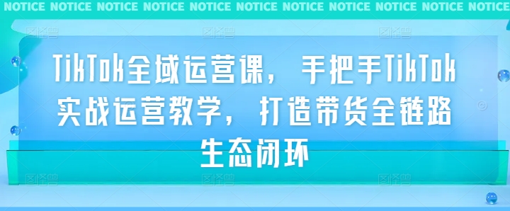 TikTok全域运营课，手把手TikTok实战运营教学，打造带货全链路生态闭环-第一资源库