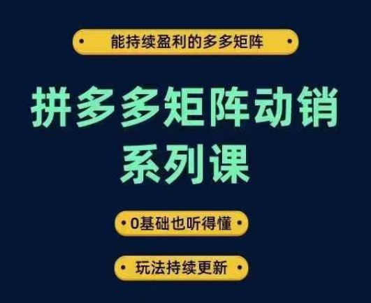 拼多多矩阵动销系列课，能持续盈利的多多矩阵，0基础也听得懂，玩法持续更新-第一资源库