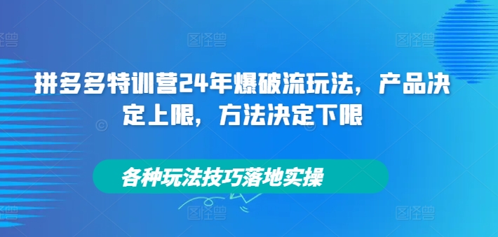 拼多多特训营24年爆破流玩法，产品决定上限，方法决定下限，各种玩法技巧落地实操-第一资源库