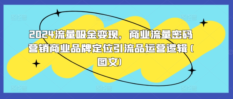 2024流量吸金变现，商业流量密码营销商业品牌定位引流品运营逻辑(图文)-第一资源库