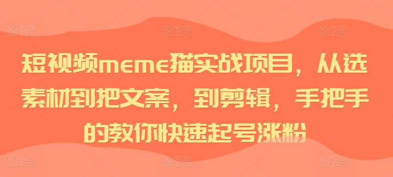 短视频meme猫实战项目，从选素材到把文案，到剪辑，手把手的教你快速起号涨粉-第一资源库