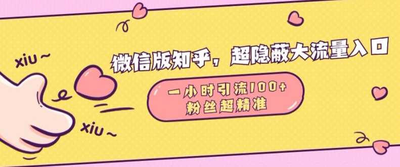 微信版知乎，超隐蔽流量入口1小时引流100人，粉丝质量超高【揭秘】-第一资源库