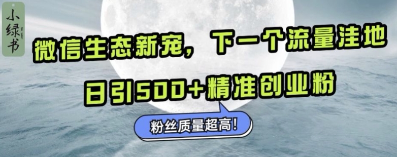 微信生态新宠小绿书：下一个流量洼地，日引500+精准创业粉，粉丝质量超高-第一资源库