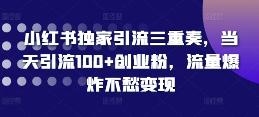 小红书独家引流三重奏，当天引流100+创业粉，流量爆炸不愁变现【揭秘】-第一资源库