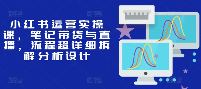 小红书运营实操课，笔记带货与直播，流程超详细拆解分析设计-第一资源库