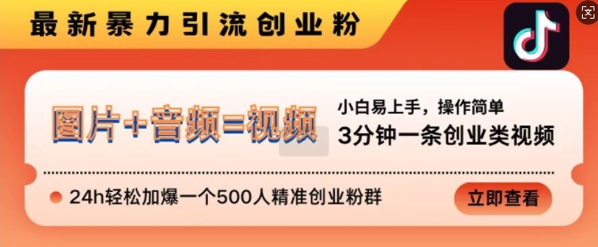 抖音最新暴力引流创业粉，3分钟一条创业类视频，24h轻松加爆一个500人精准创业粉群【揭秘】-第一资源库