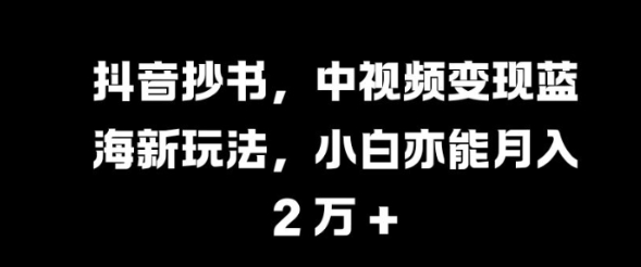 抖音抄书，中视频变现蓝海新玩法，小白亦能月入 过W【揭秘】-第一资源库