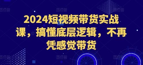 2024短视频带货实战课，搞懂底层逻辑，不再凭感觉带货-第一资源库