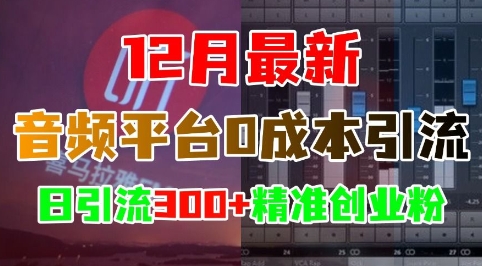 12月最新：音频平台0成本引流，日引流300+精准创业粉-第一资源库