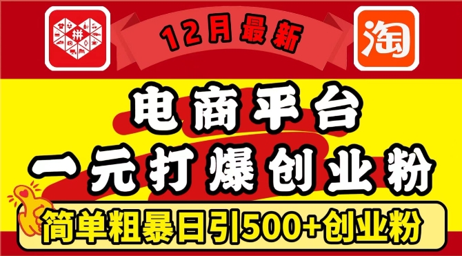 12月最新：电商平台1元打爆创业粉，简单粗暴日引500+精准创业粉，轻松月入过W【揭秘】-第一资源库